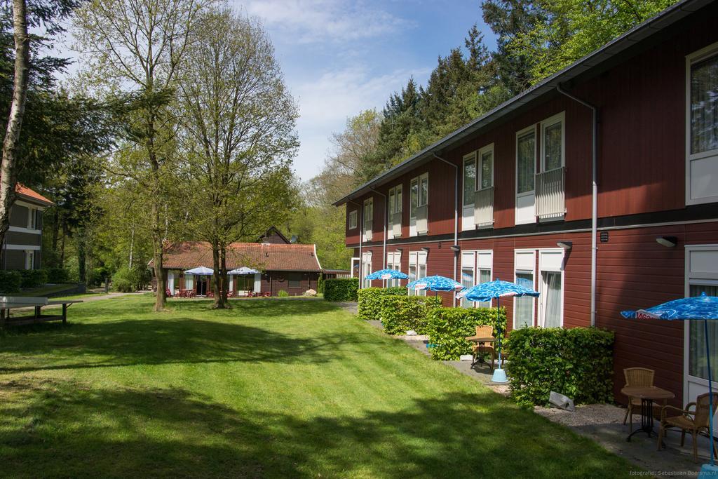 Comfort Tweepersoonskamer met 2 Aparte Bedden en een Terras