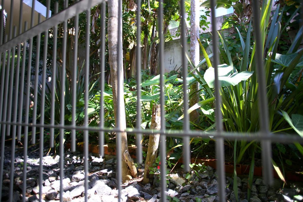 Deluxe Suite Garden View