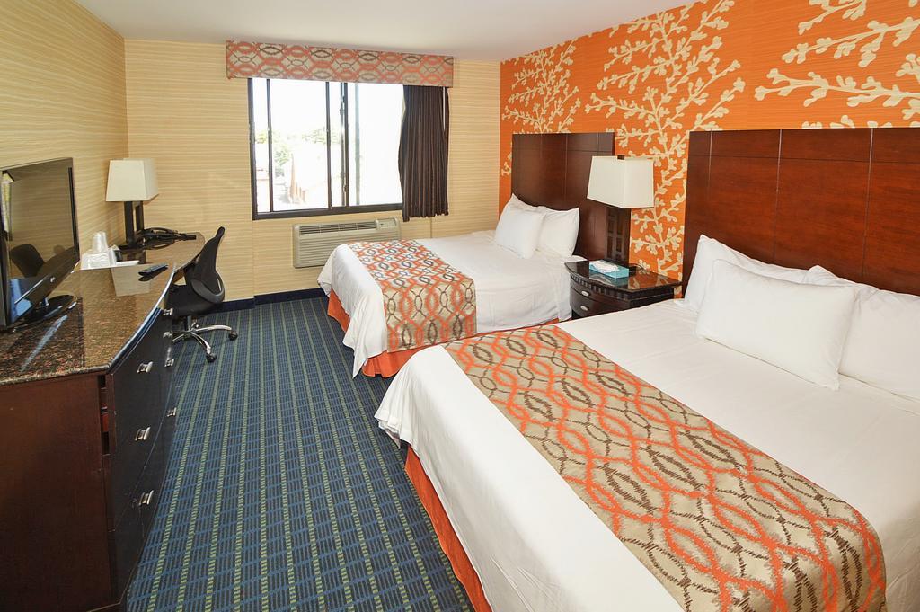 Double Room with Two Double Beds