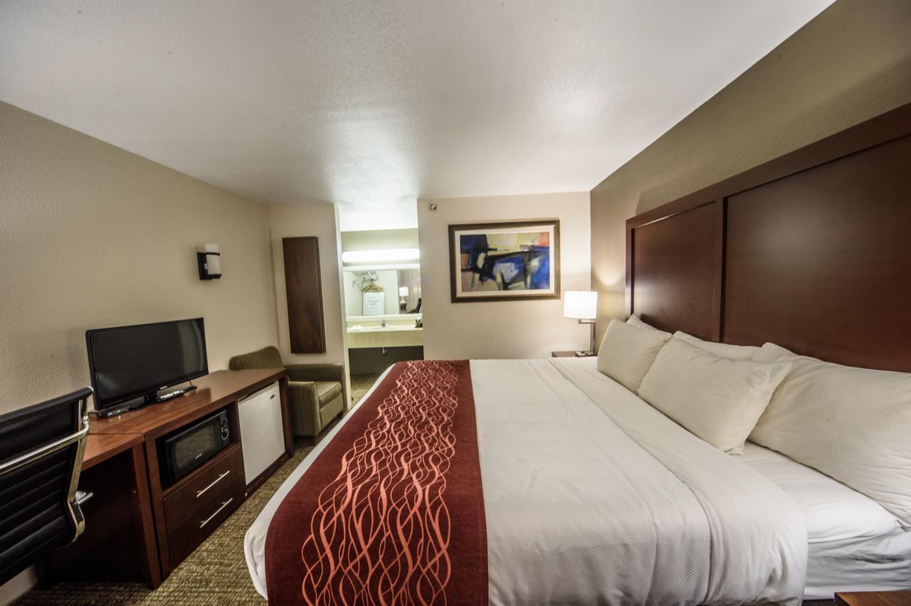 King Room with Roll-In Shower - Disability Access
