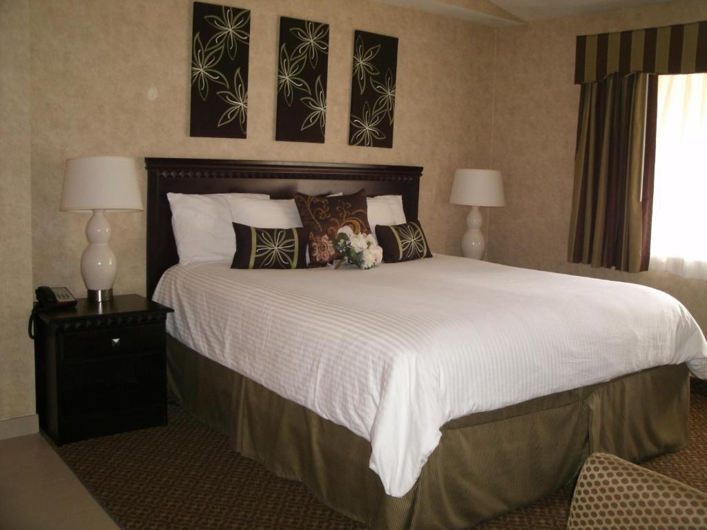 Standard King Room,62870815:JPEG