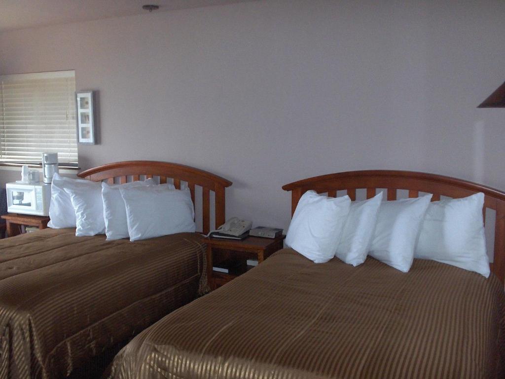 Double Room with Two Double Beds