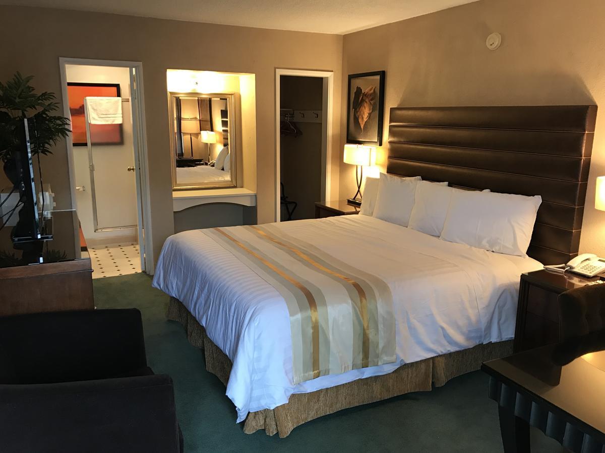 Standard King Room