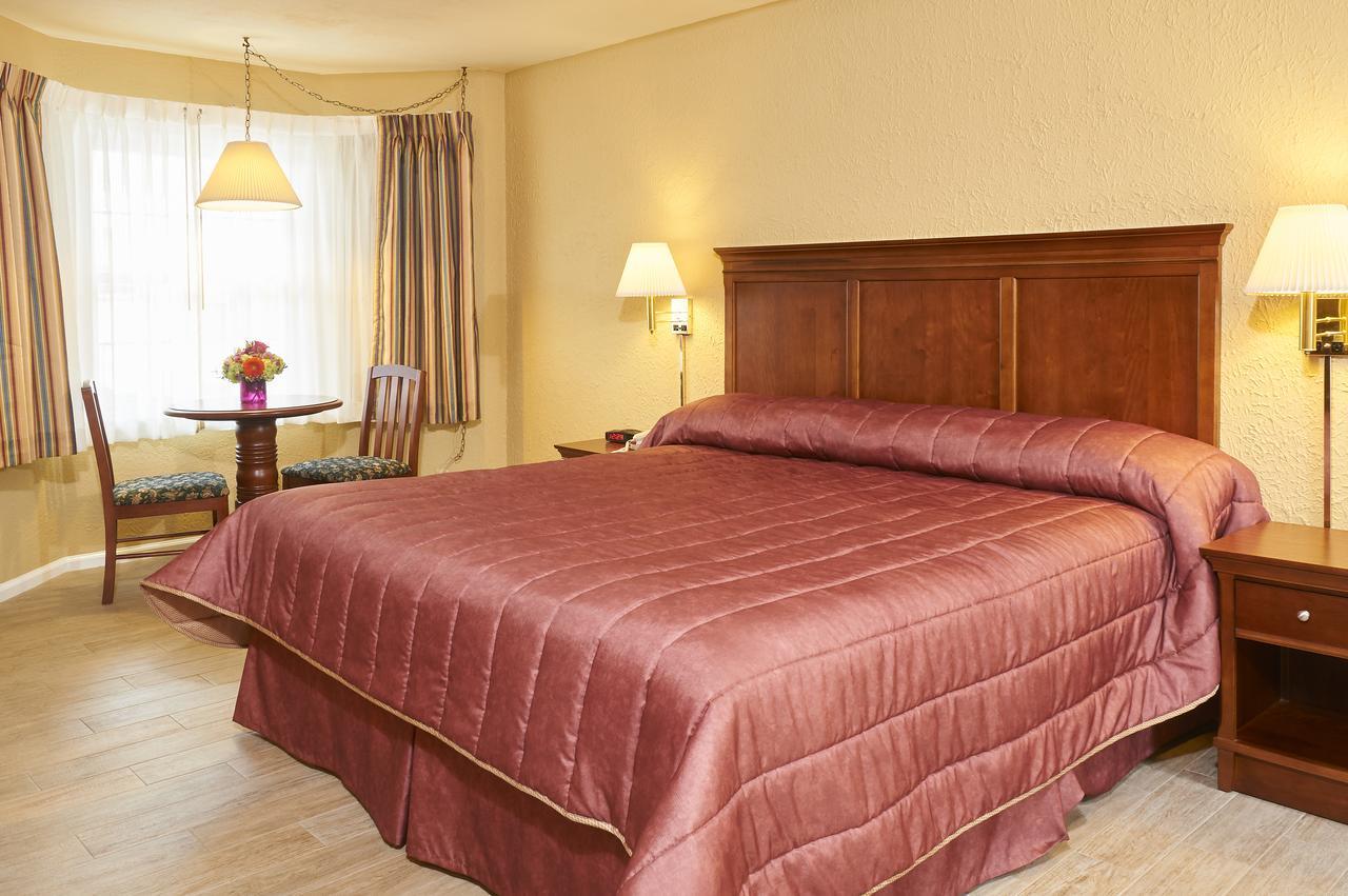 Deluxe King Efficiency Room