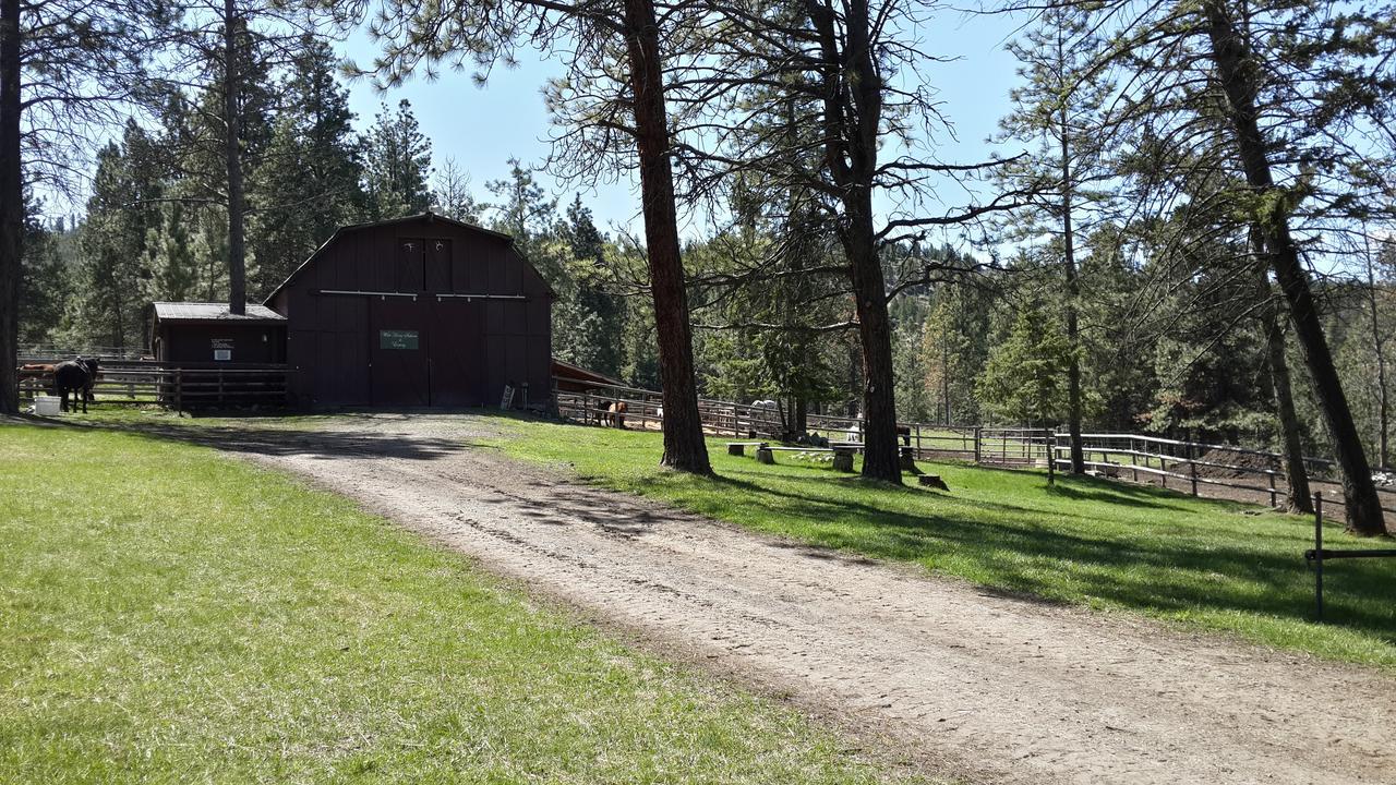 Bungalow (4 Adults)