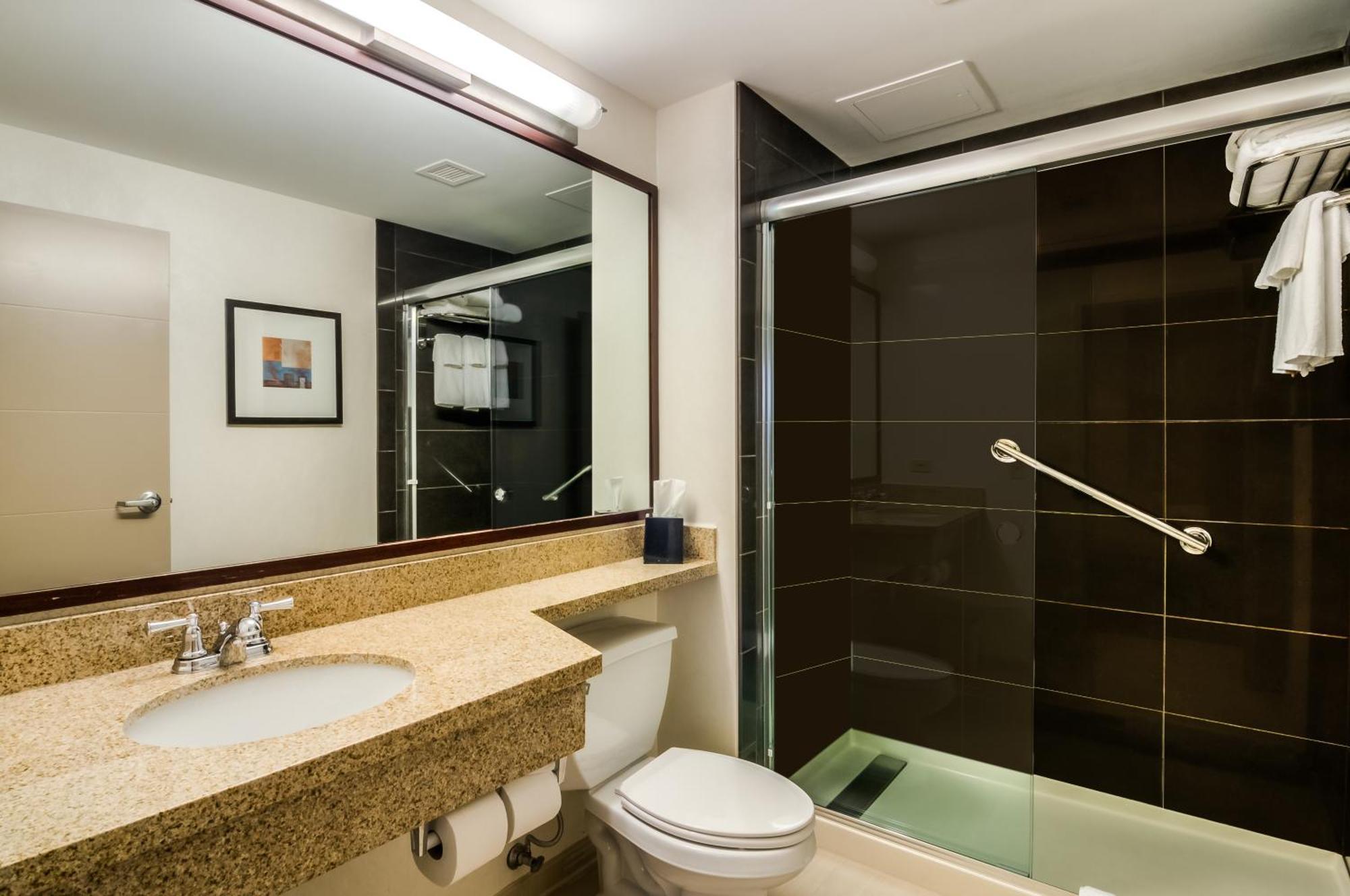 One-Bedroom Queen Suite