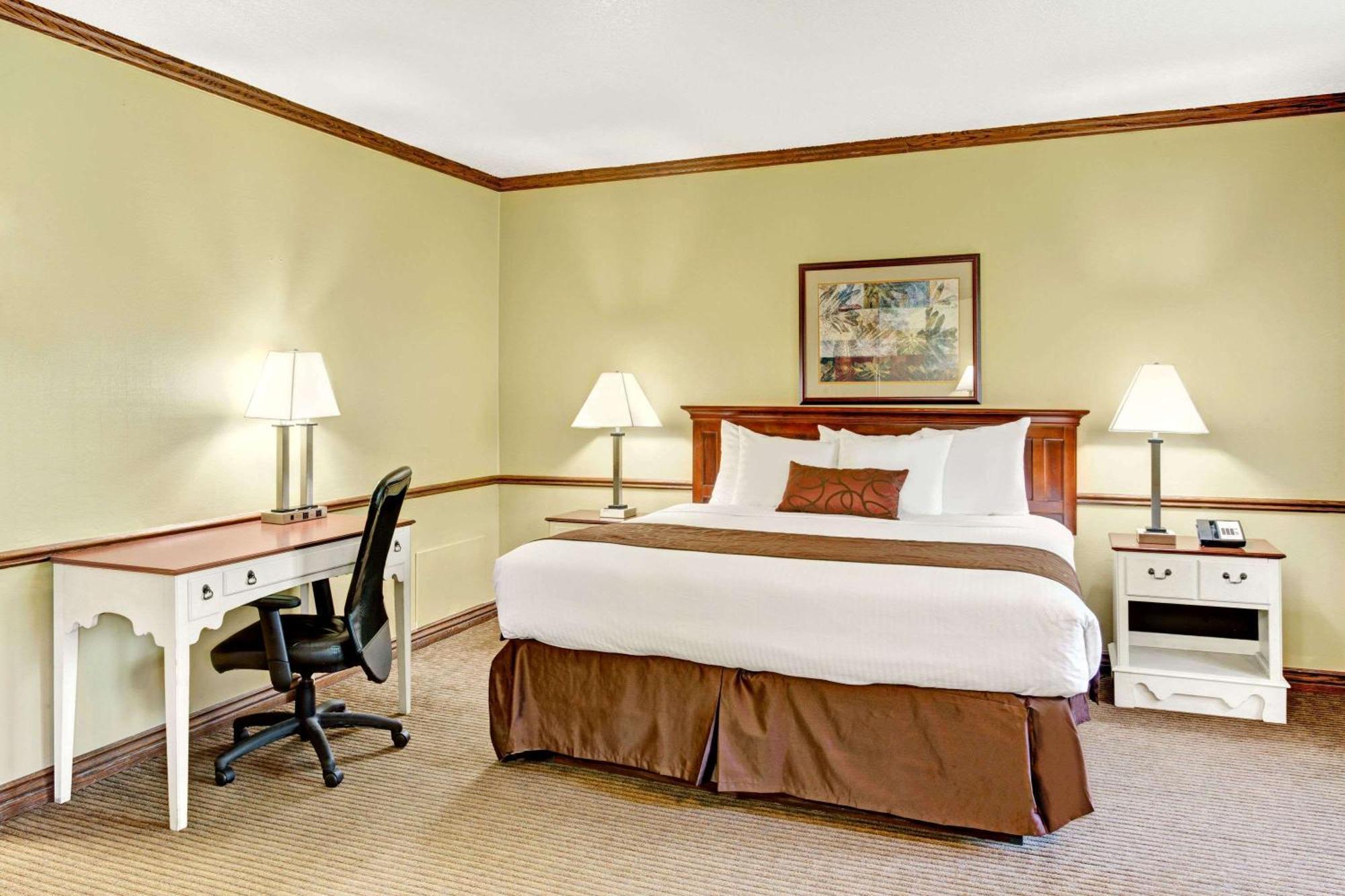 King Room - Pet Friendly/Non-Smoking