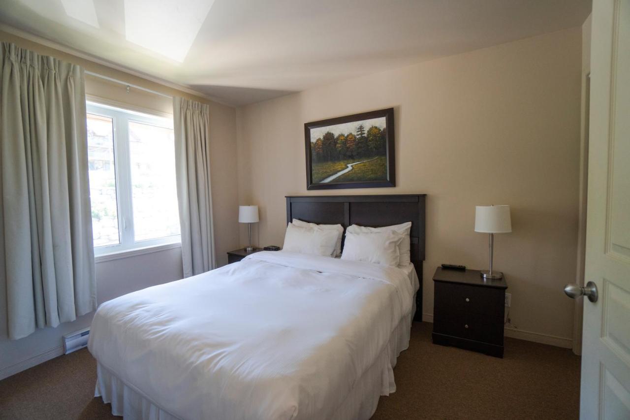 Appartement 1 Chambre