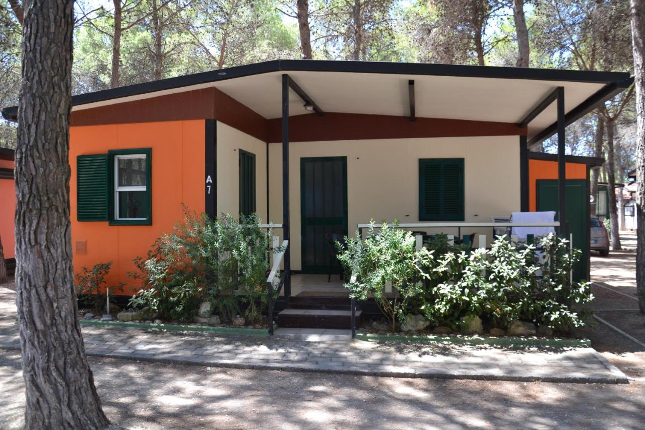 Bungalow Standard