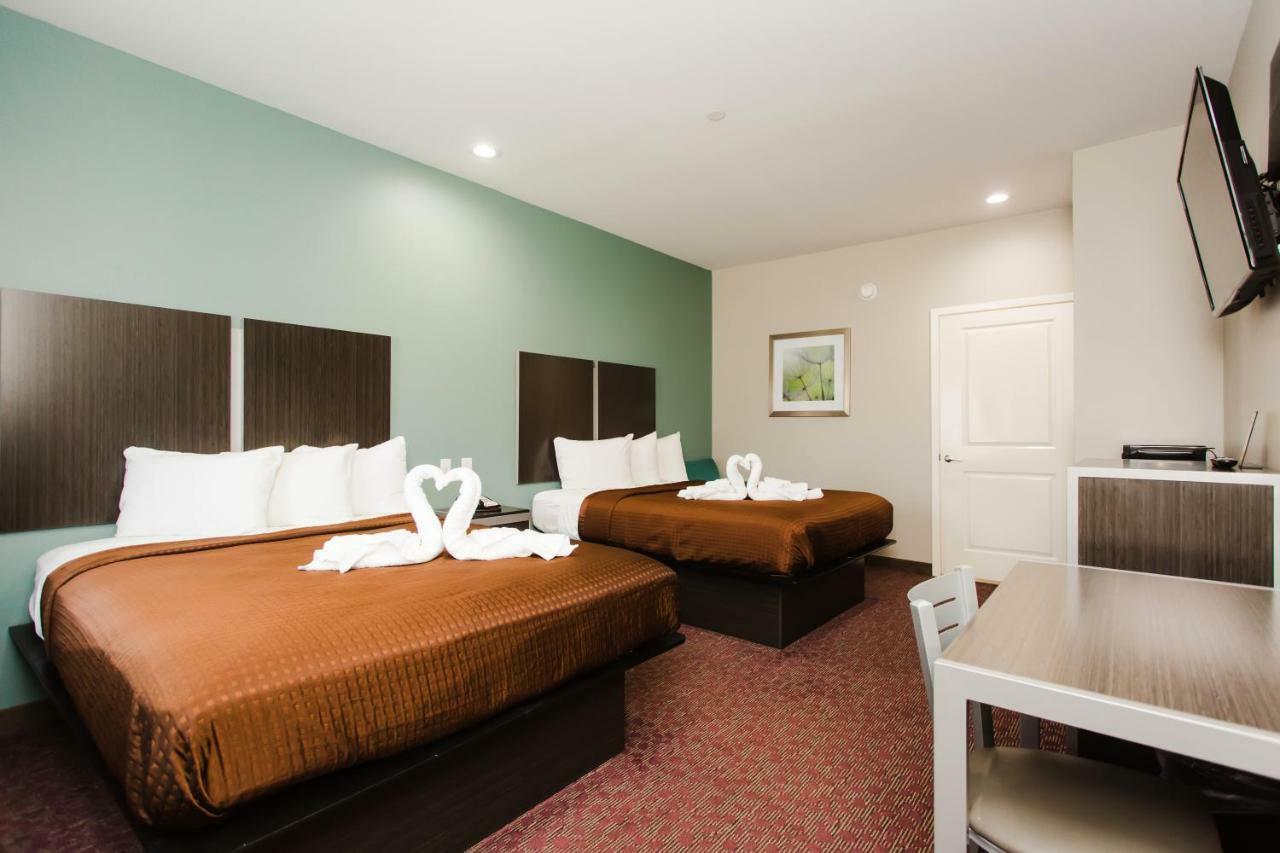 Double Room,1584700264:JPEG