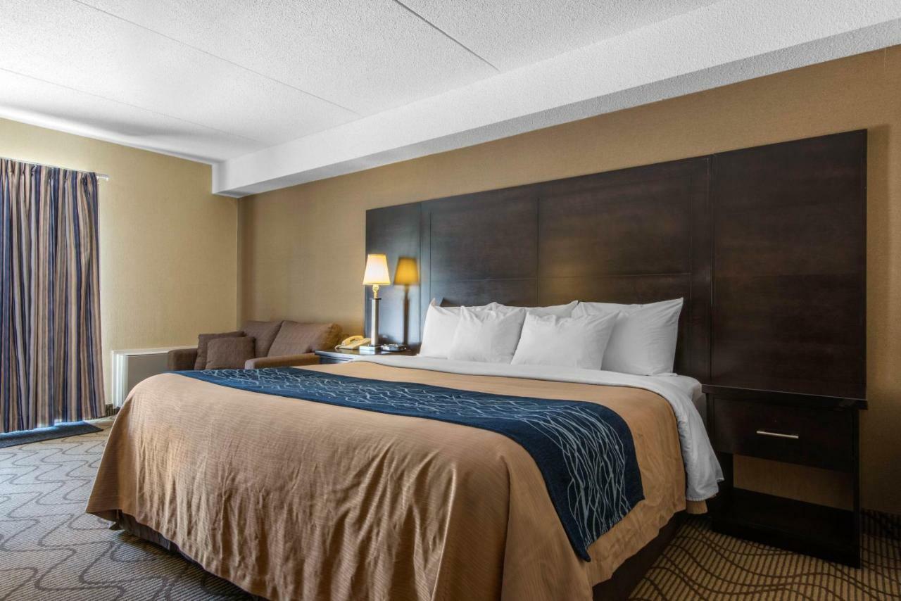King Room with Sofa Bed - Ground Floor/Non-Smoking