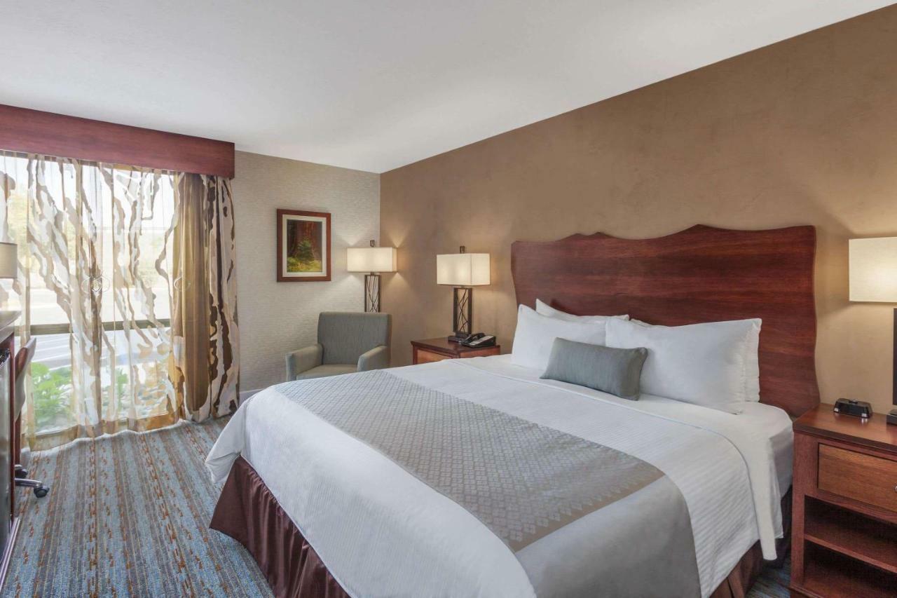 King Room Roll Shower Mobility Accessible or Non-Smoking