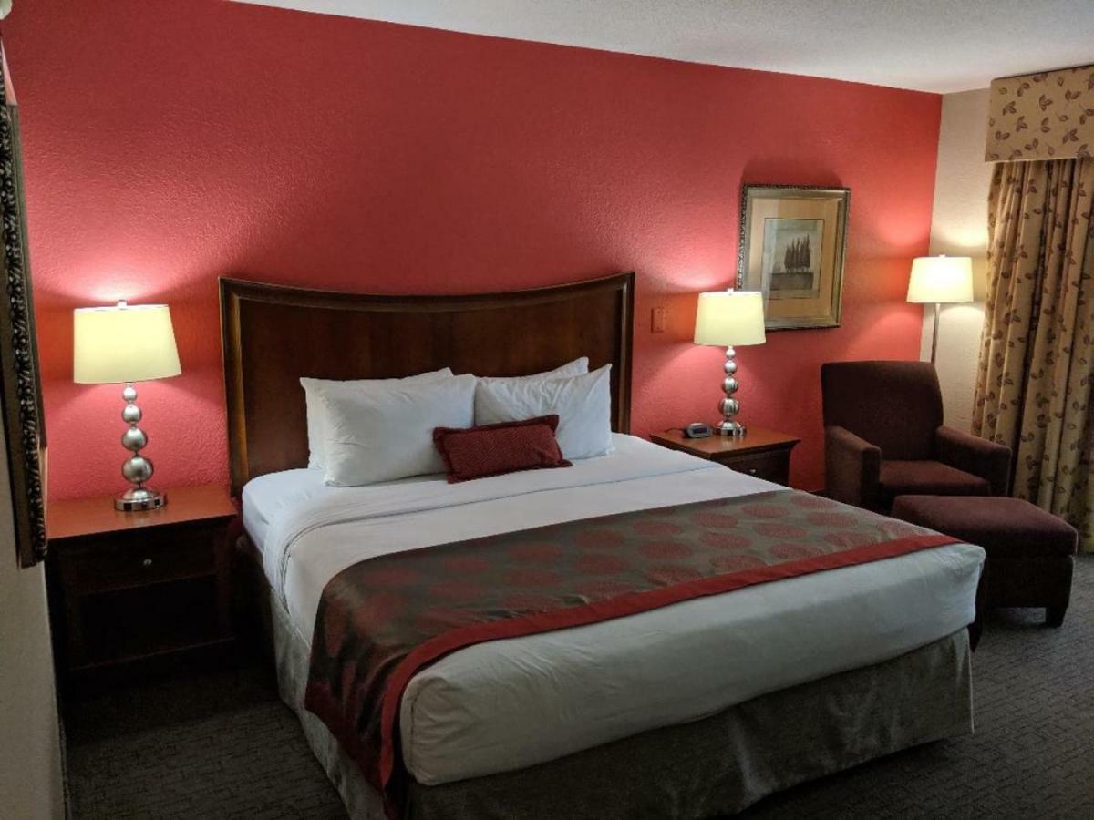 King Suite,813441864:JPEG
