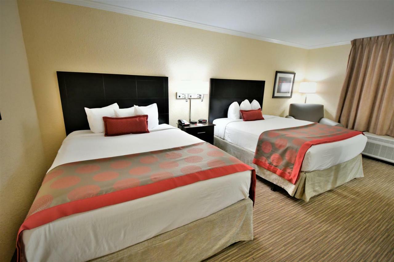 Queen Room Two Queen Beds,1216969534:JPEG