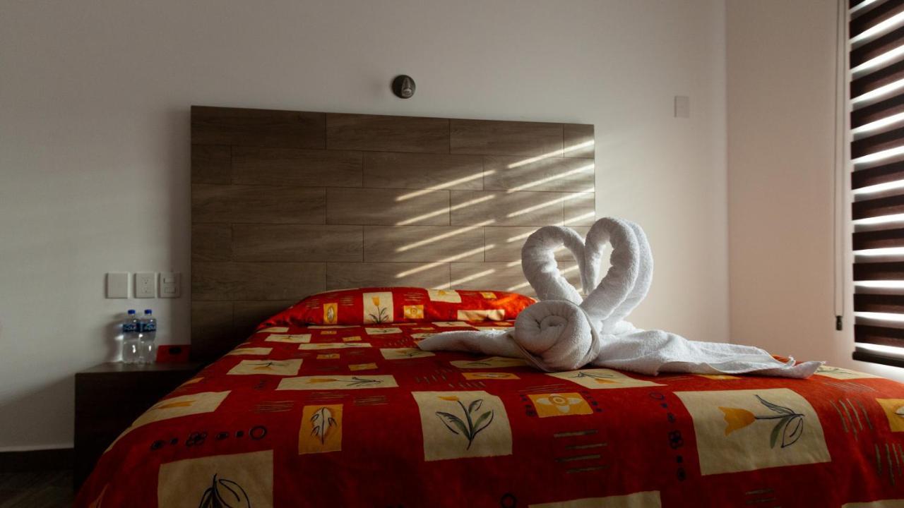 Habitación con cama extragrande.