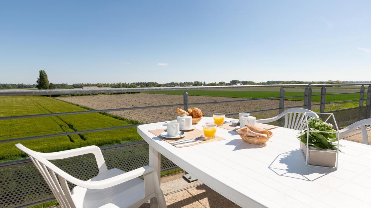 One-Bedroom Apartment Polder View,989105224:JPEG