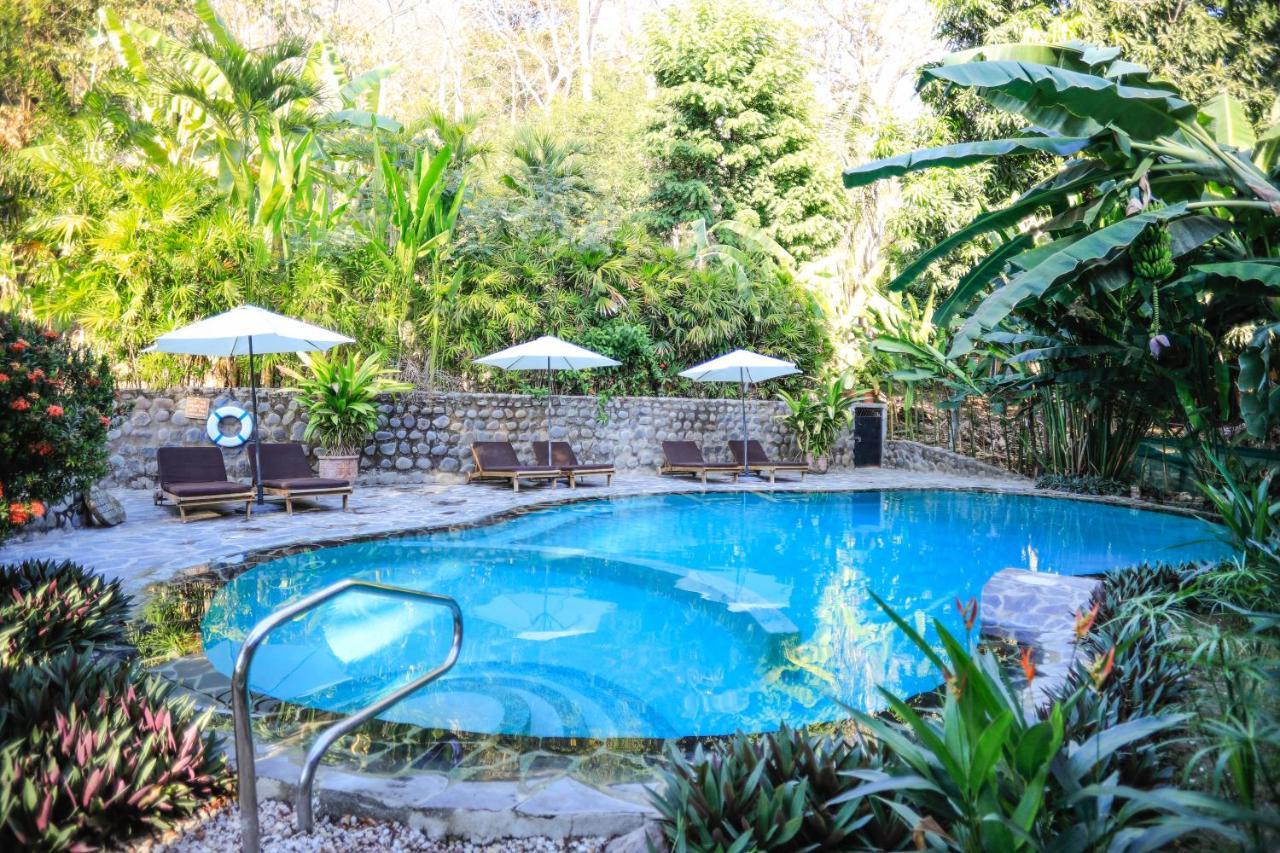 King Room with Pool View