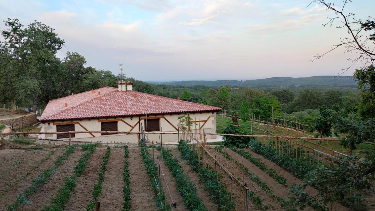 Twin Room Garden View,998480562:JPEG
