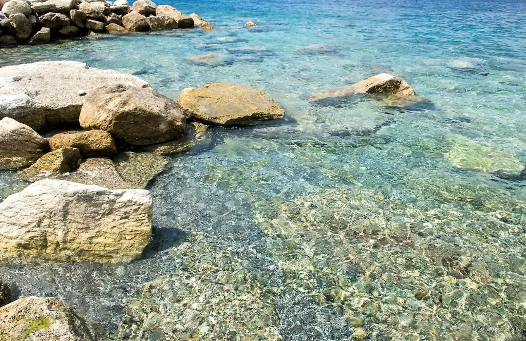 Il corallo azzurro-1