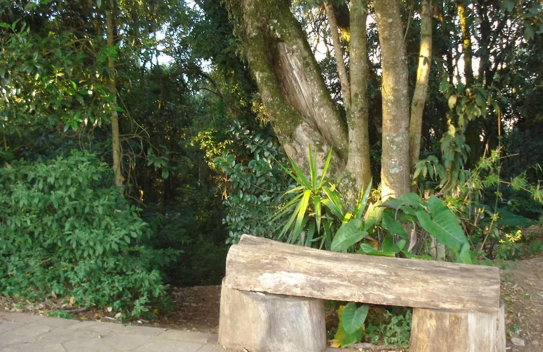 Pousada Thiany-1