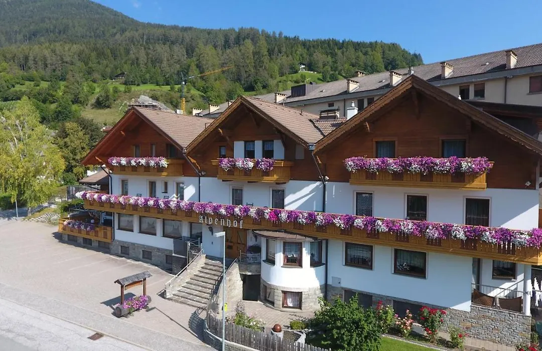 Pension Alpenhof B&B-1