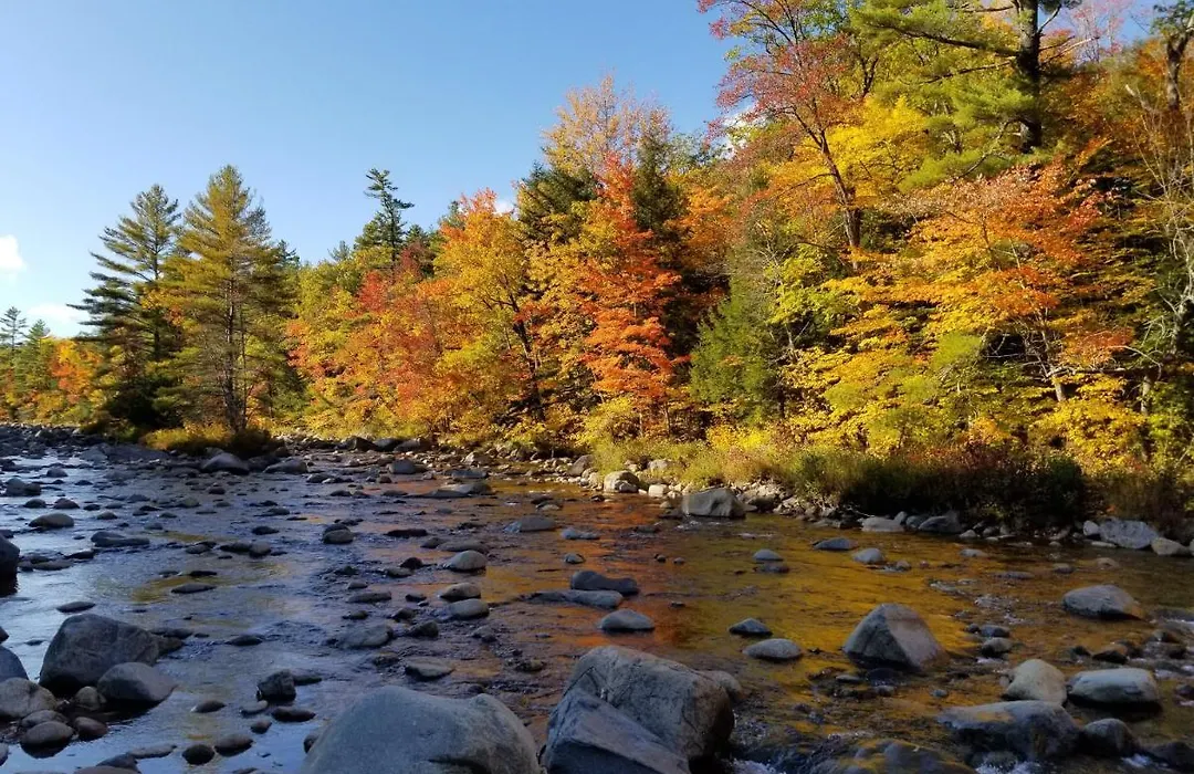 Kancamagus Swift River Inn-1
