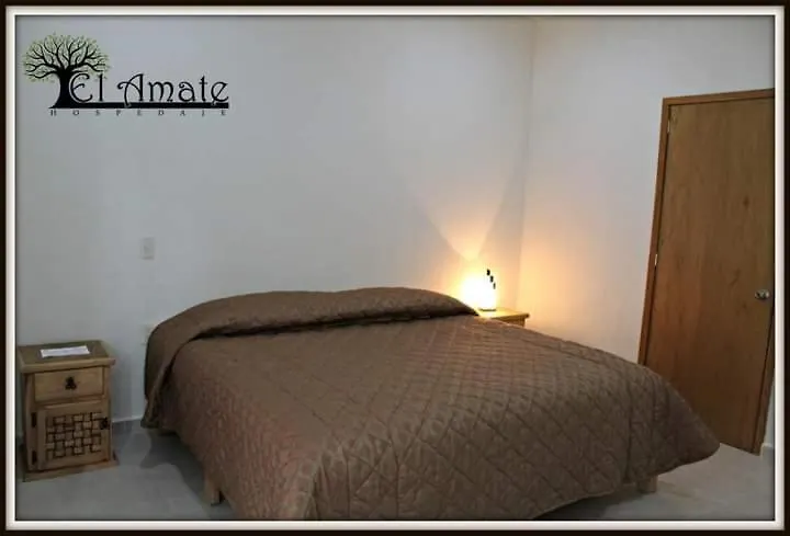 El Amate-1