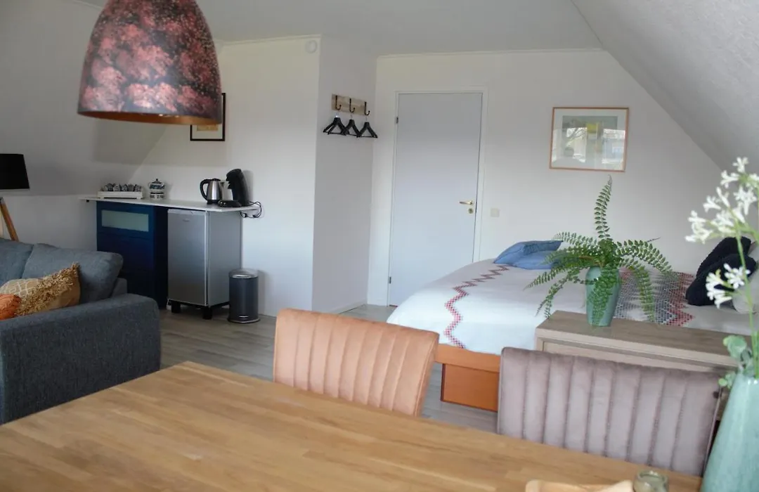 B&B De Eikenhorst-1