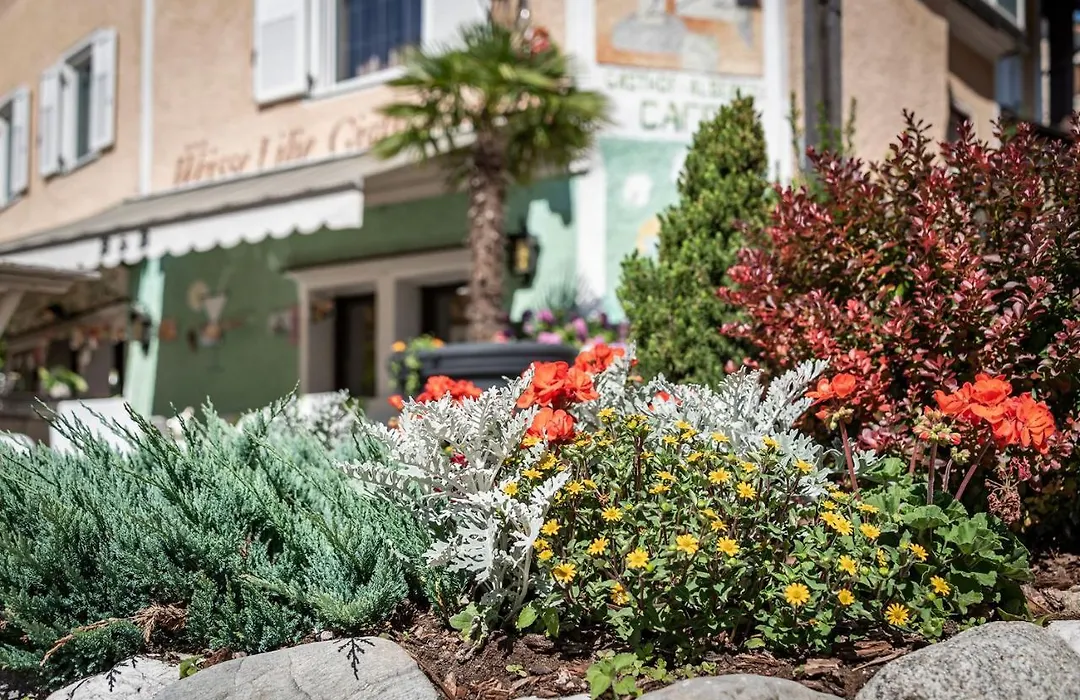 Hotel Weisse Lilie - B&B-1