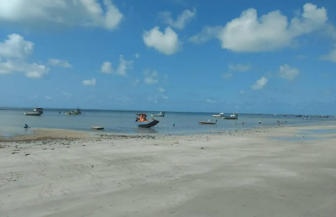 Pousada Paraíso das Palmeiras-1