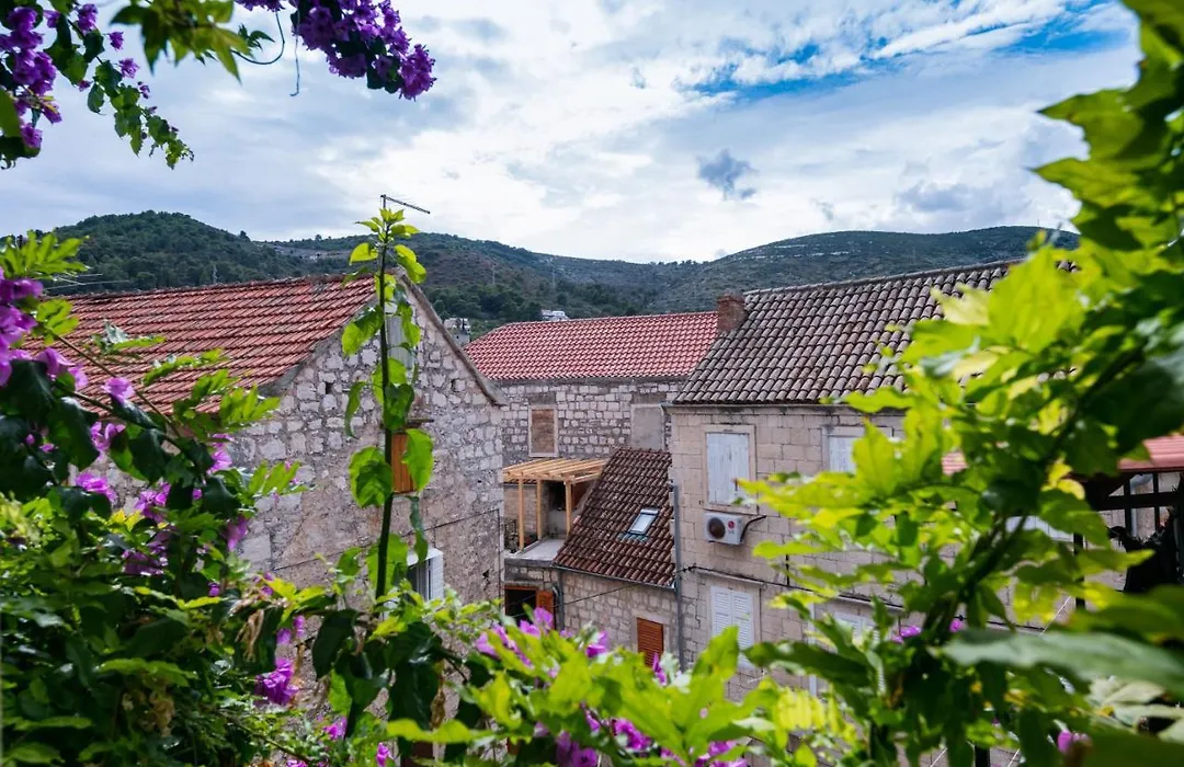 B&B Villa Vis-1