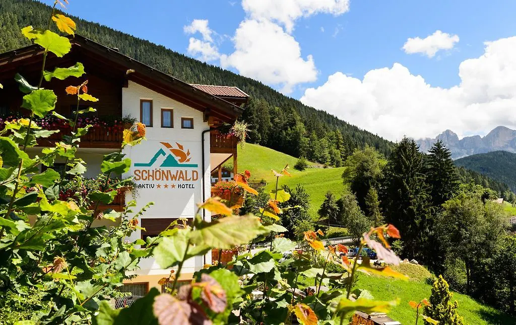 Aktiv Hotel Schönwald-1