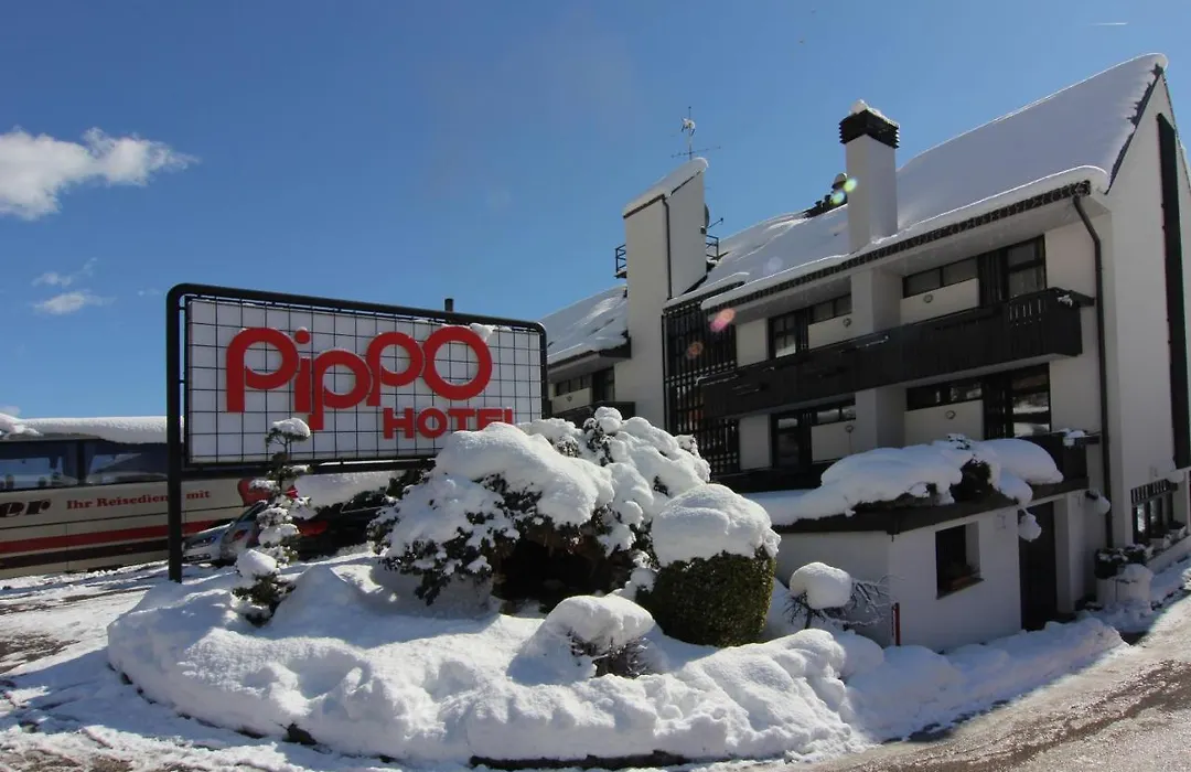 Pippo Hotel-1