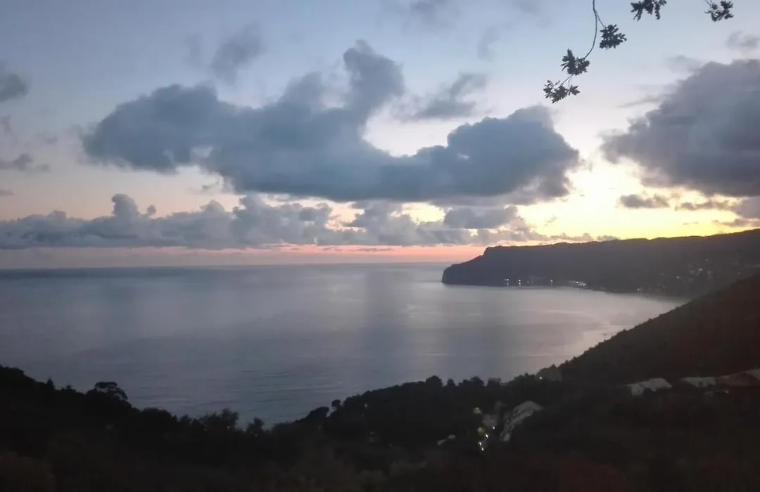 Oroverde-1