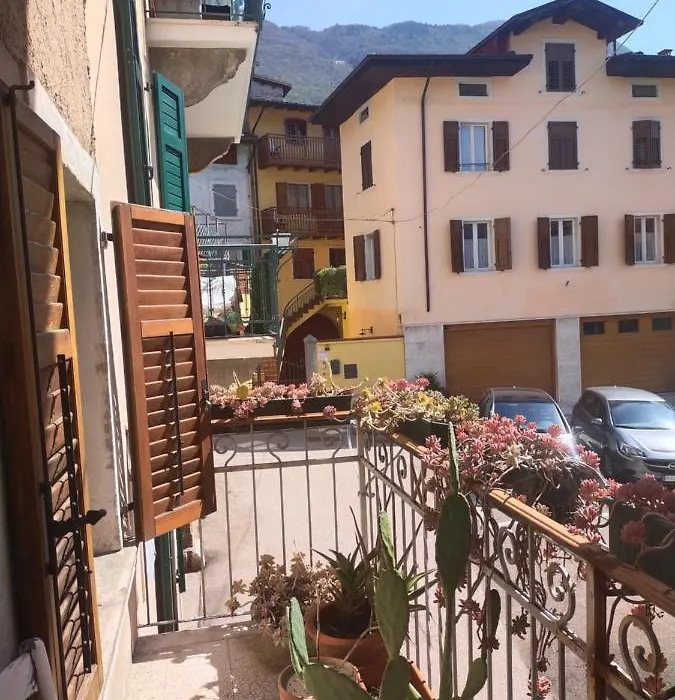 La tana dell'artista-1