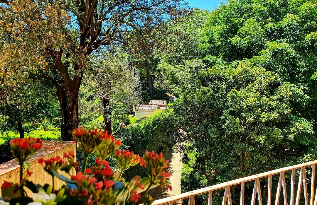 Hotel Annalena-1