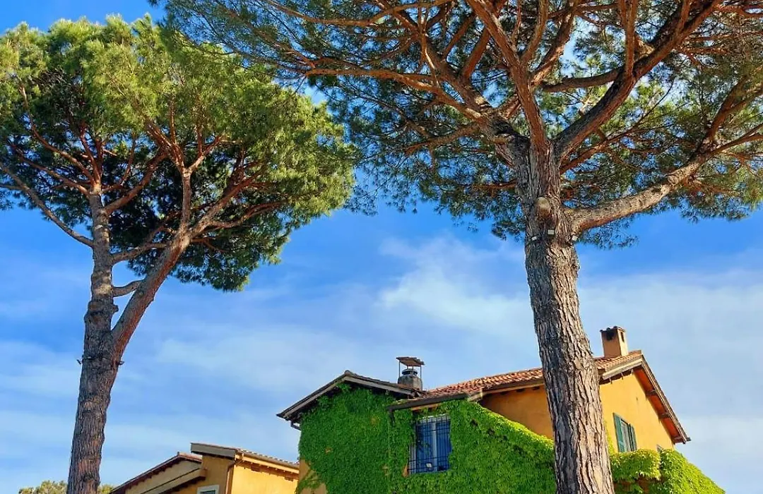 Hotel Selva Candida-1
