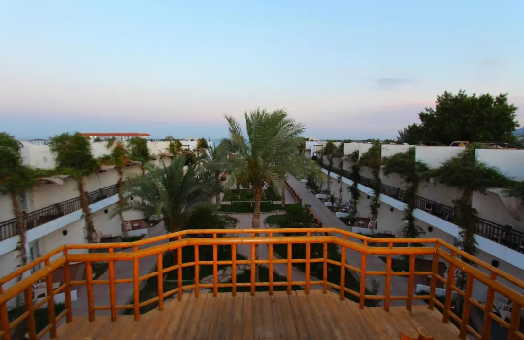 Panda Resort-1