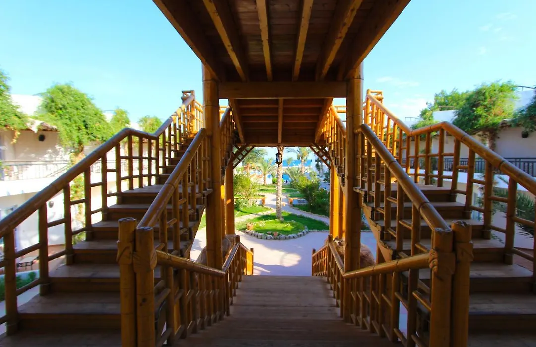 Panda Resort-1