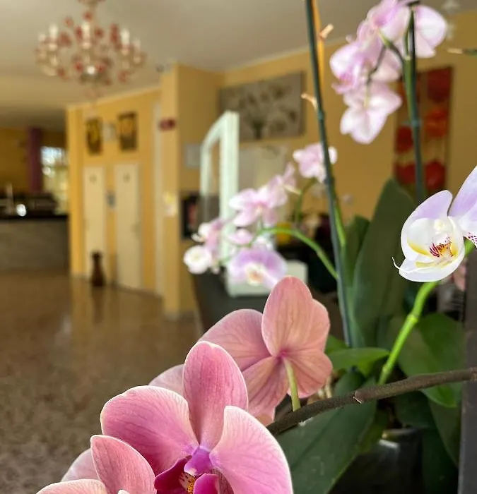 Hotel Astor-1