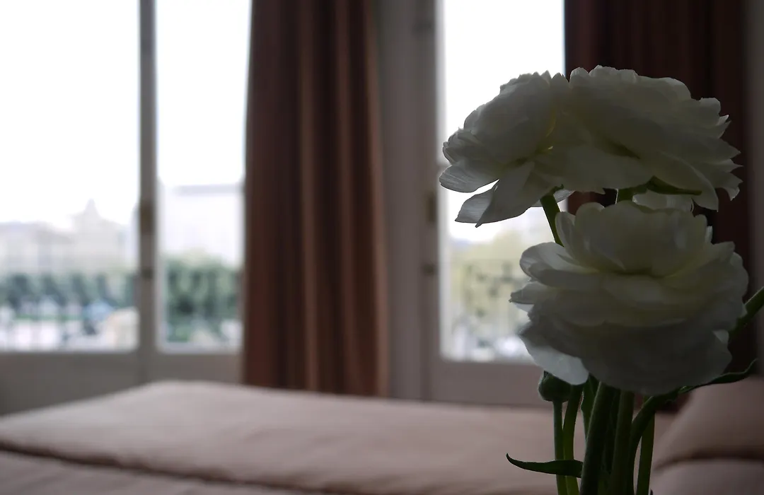 Hotel Monegal-1