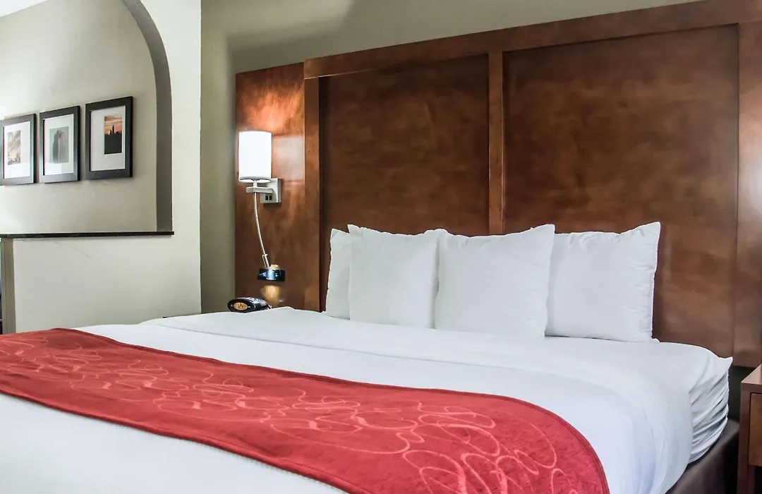 Comfort Suites University - Research Park-1