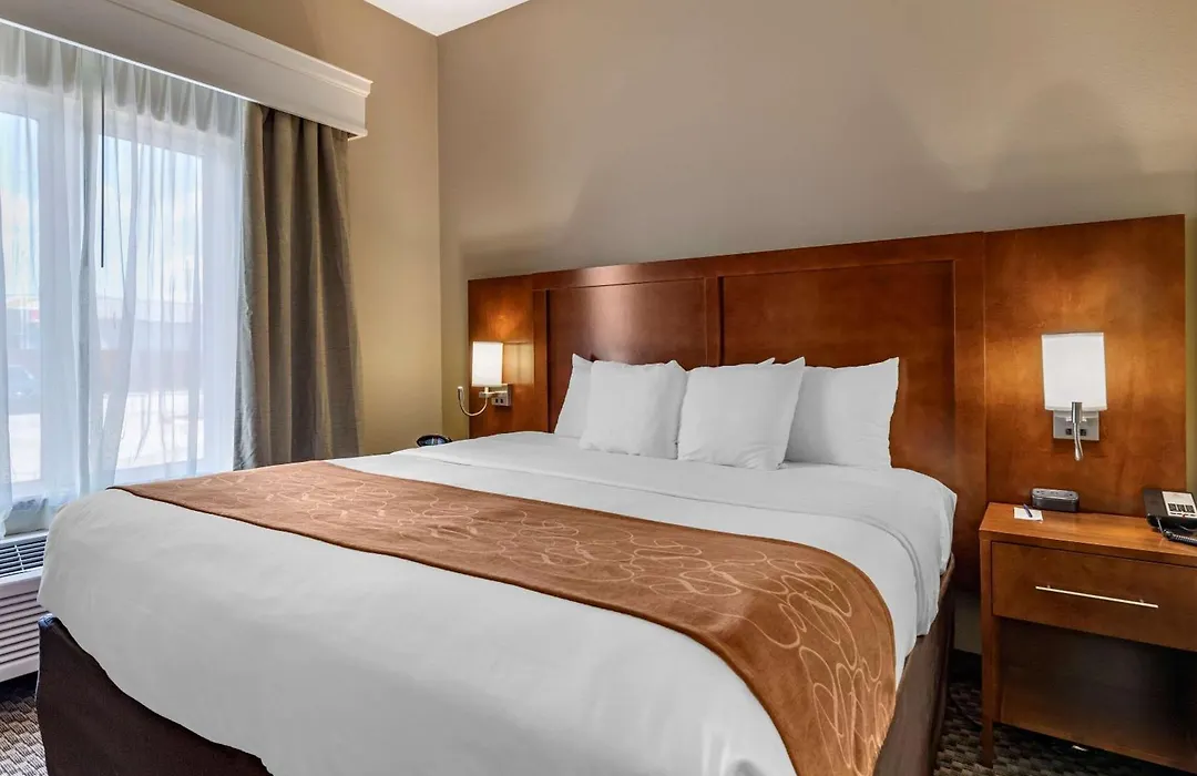 Comfort Suites Near Texas A&M - Corpus Christi-1