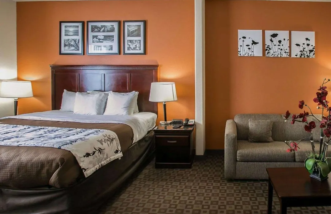 Sleep Inn & Suites Hwy 290-Nw Freeway-1