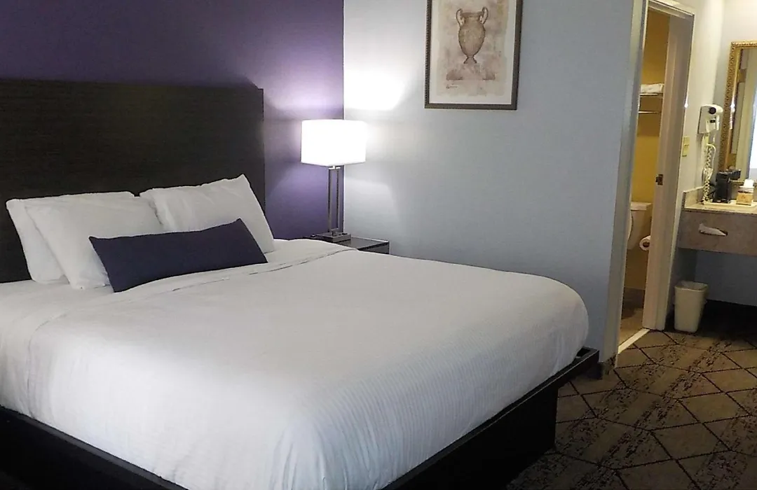 Surestay Plus Hotel By Best Western Warner Robins Afb-1