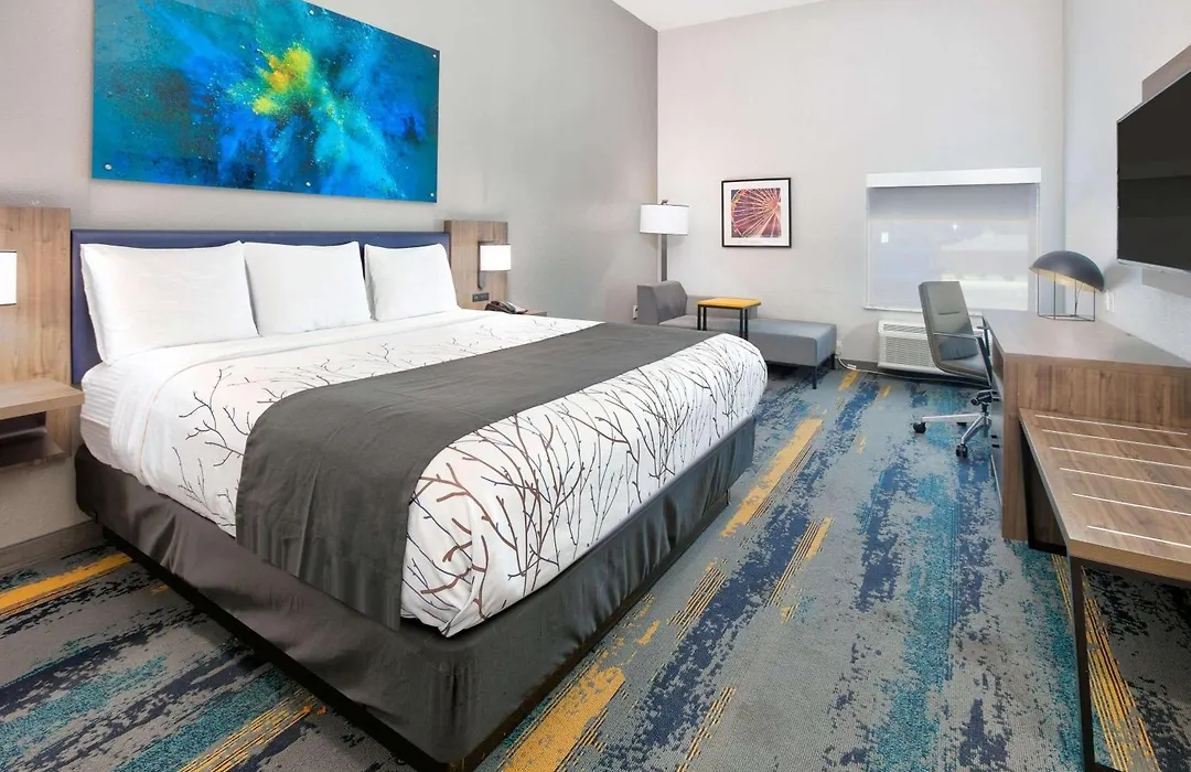 La Quinta Inn & Suites By Wyndham Dallas/Fairpark-1