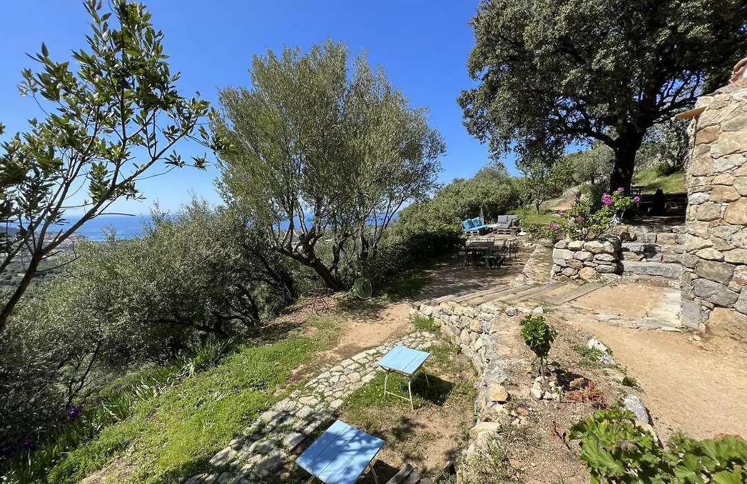 Casa Musicale-1