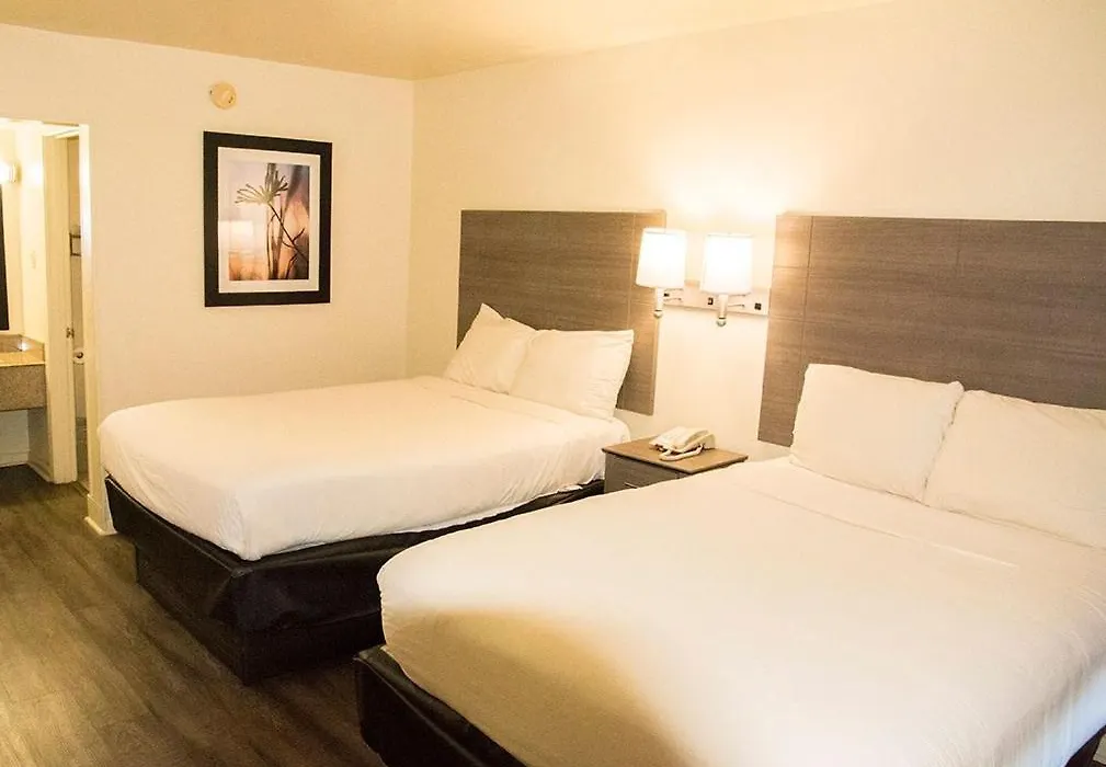 Exacta Inn-1