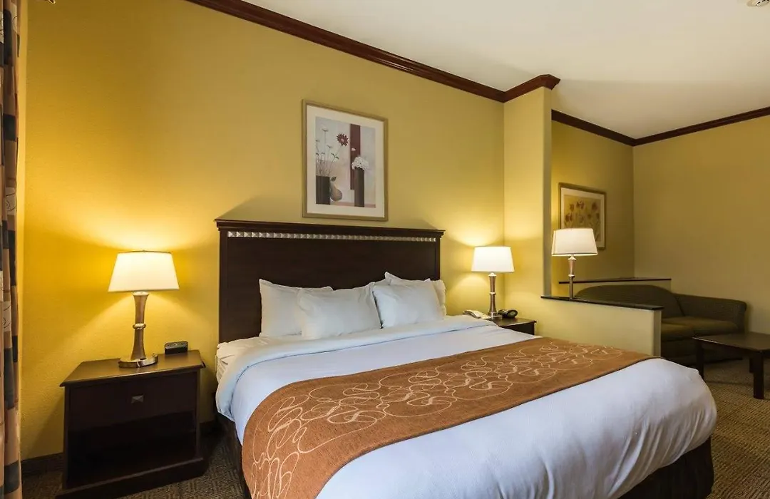 Comfort Suites Galveston Cruise Port Area - Beachside-1