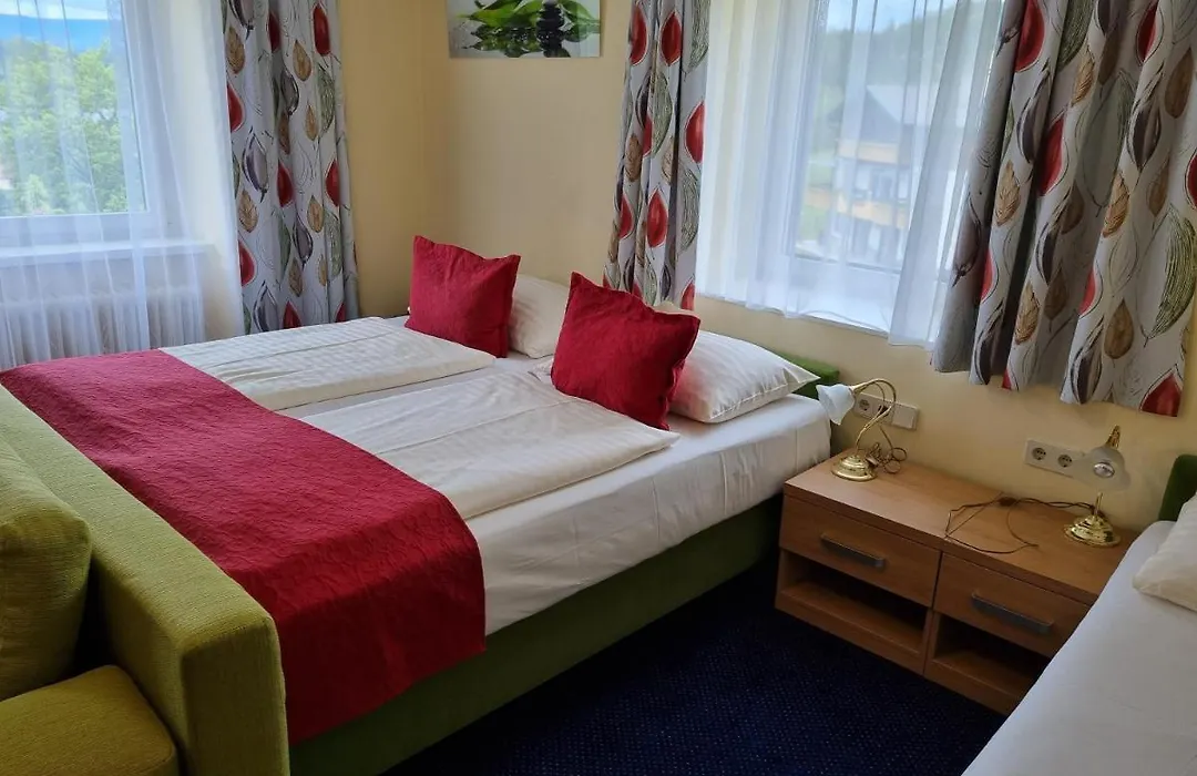 Hotel Fasching-1